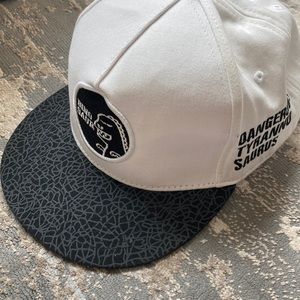 ⭐️Dino hat⭐️